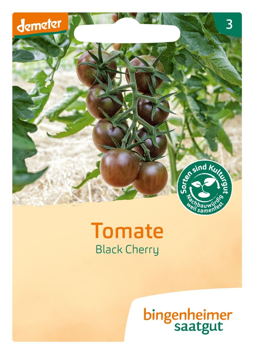 Tomato 'Black Cherry'