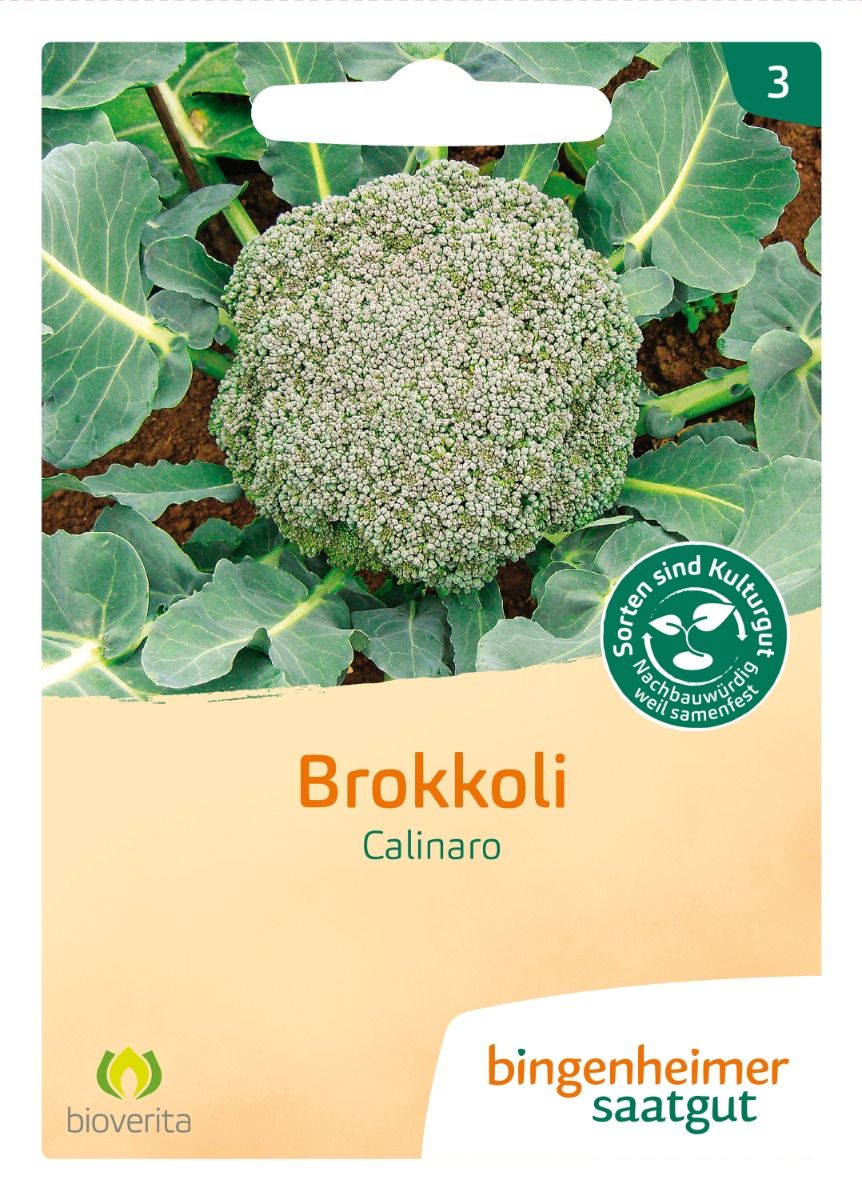 Broccoli 'Calinaro'