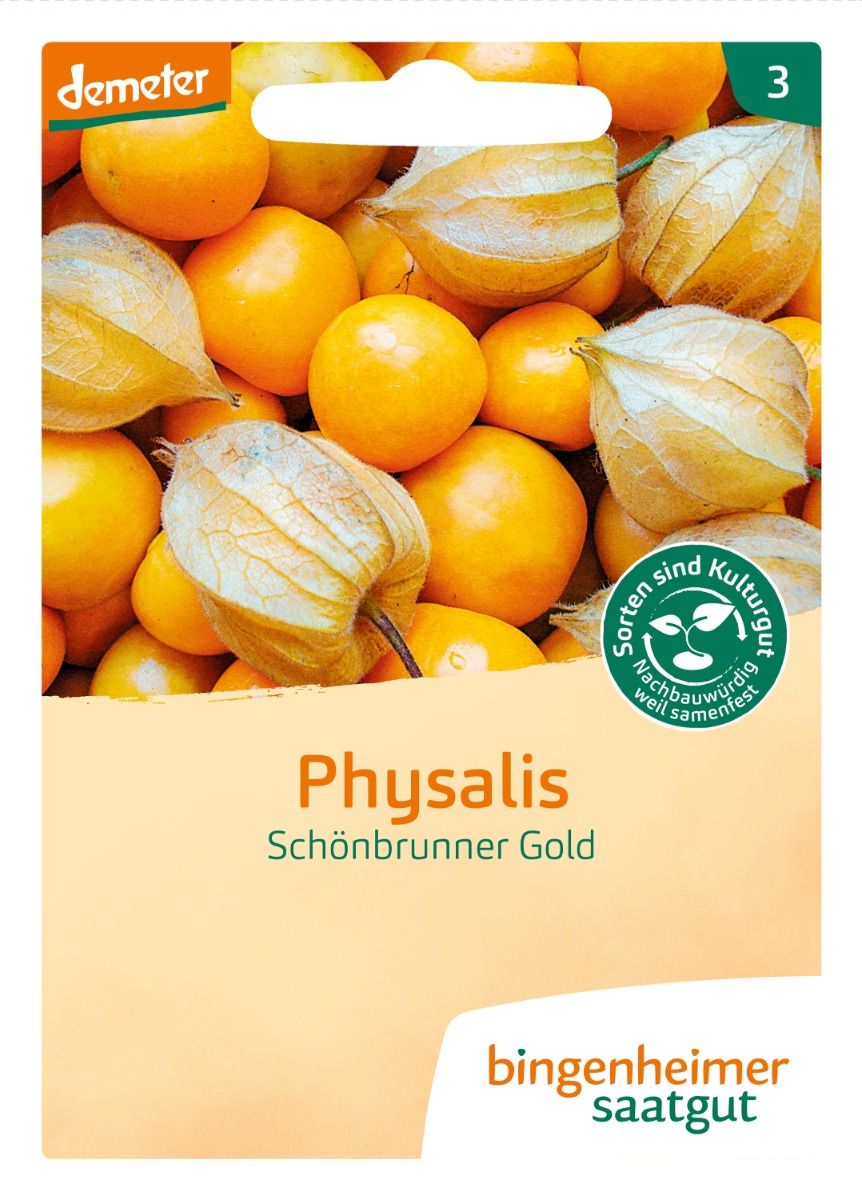 Ground Cherry 'Schönbrunner Gold'