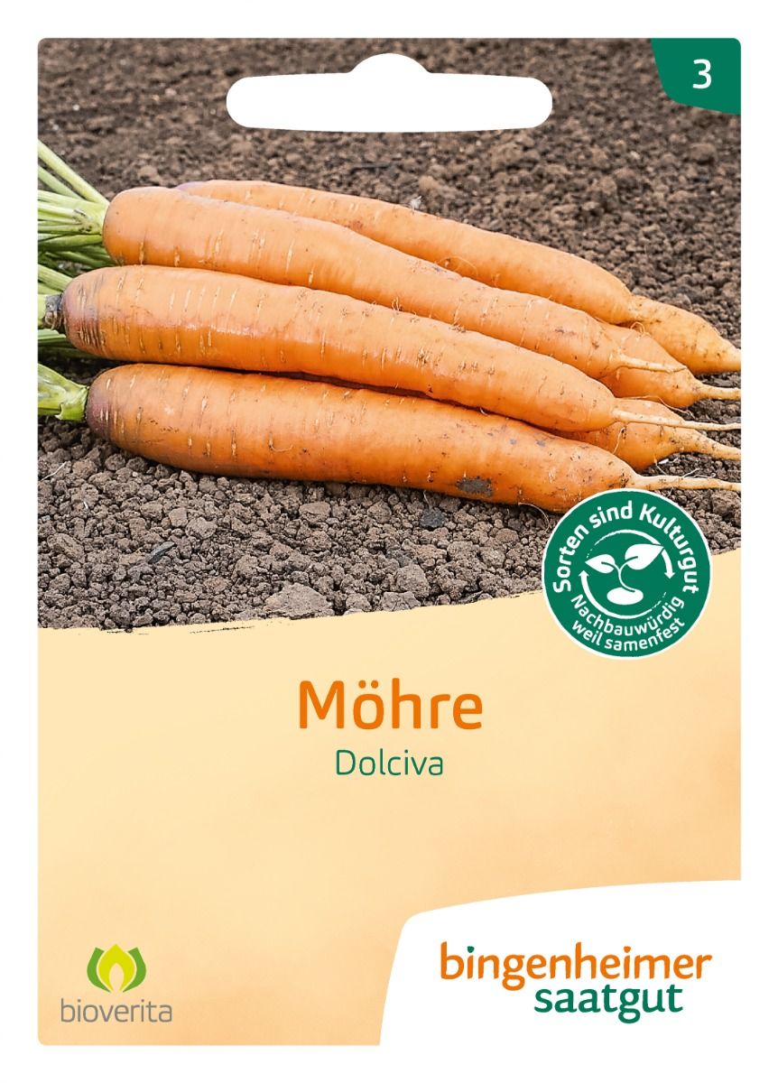 Carrot 'Dolciva'