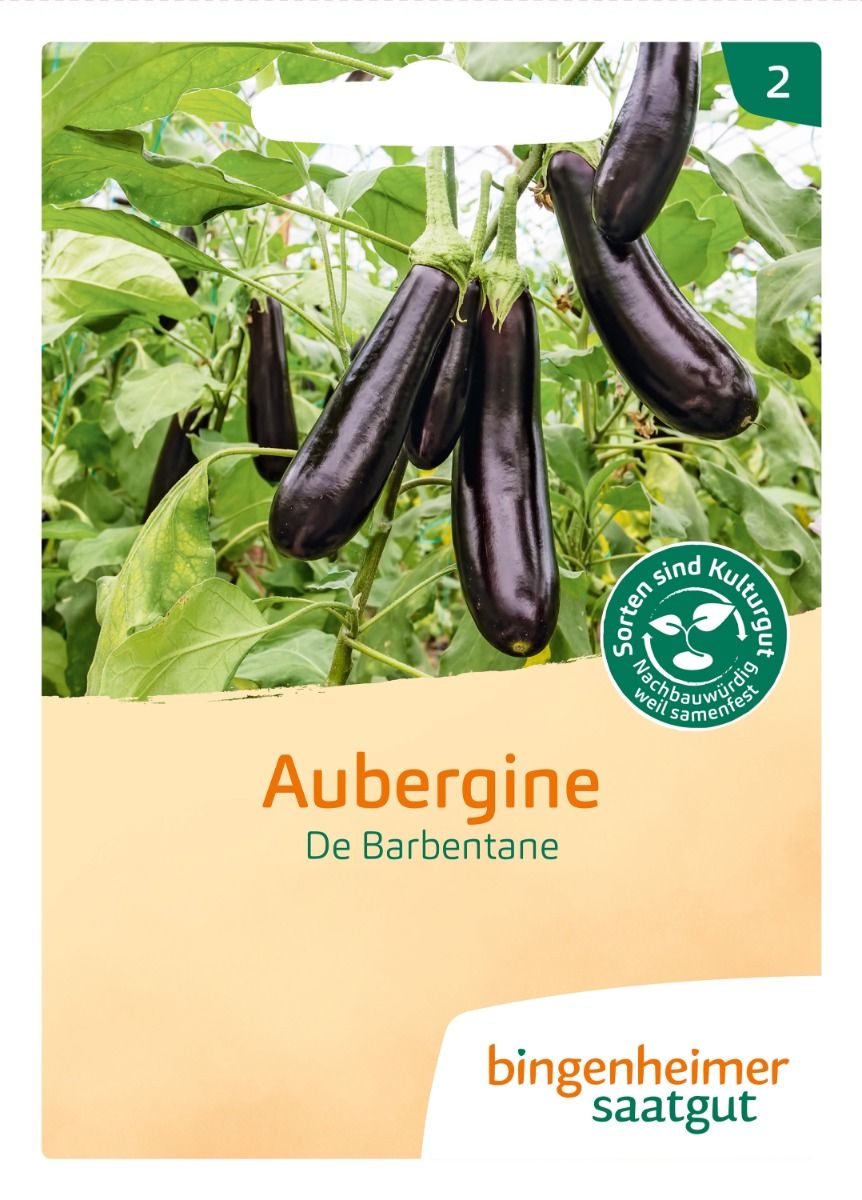 Aubergine 'De Barbentane'