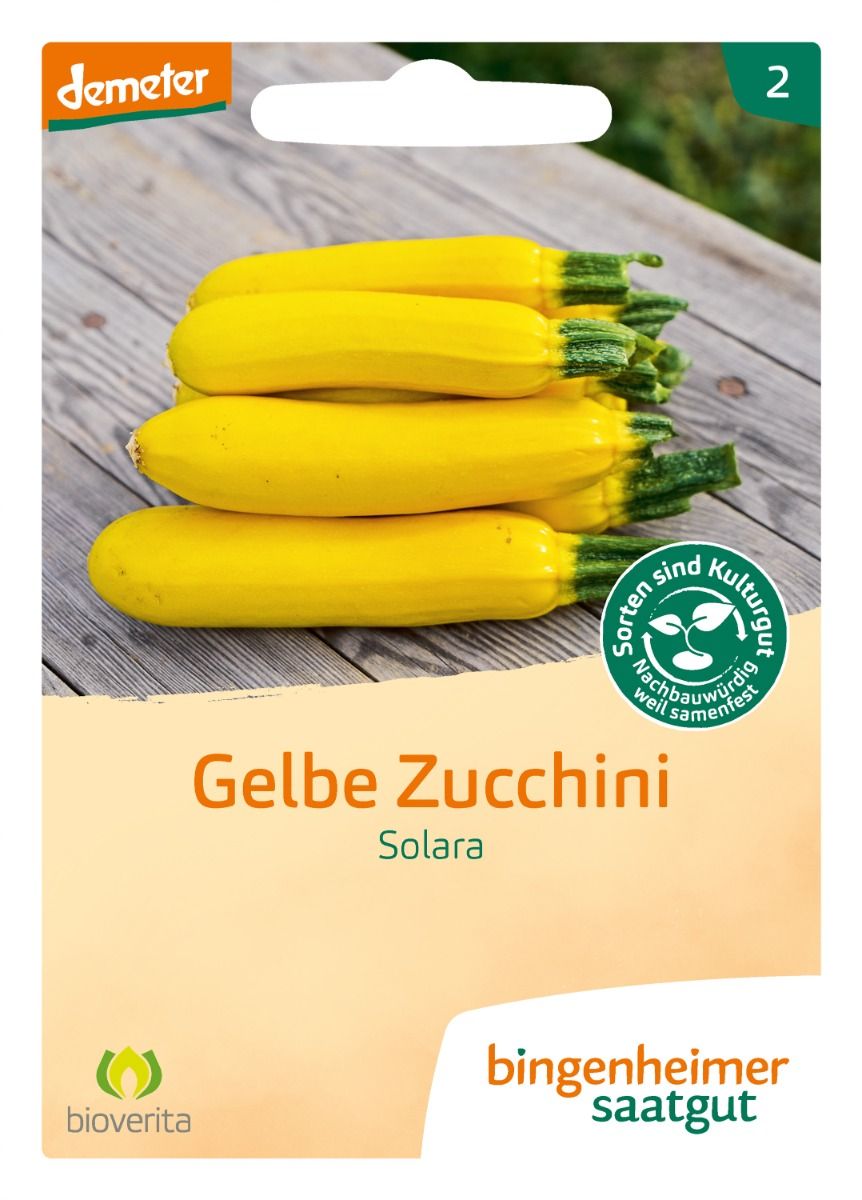 Zucchini 'Solara'