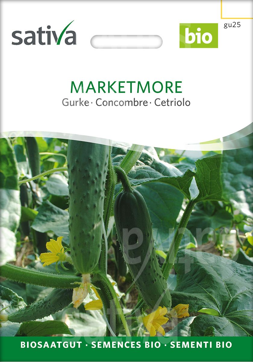 Cucumber 'Marketmore'