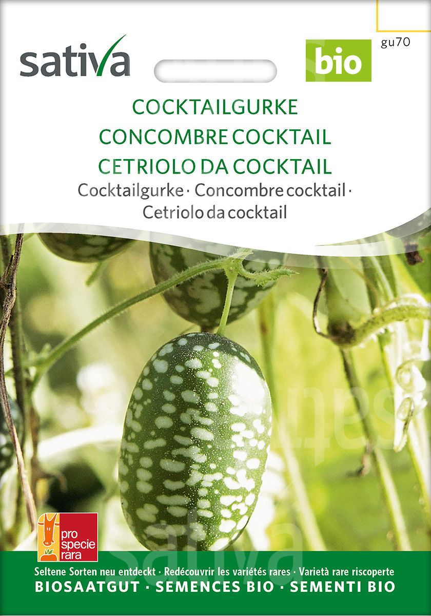 Cucamelon 'Melothria'