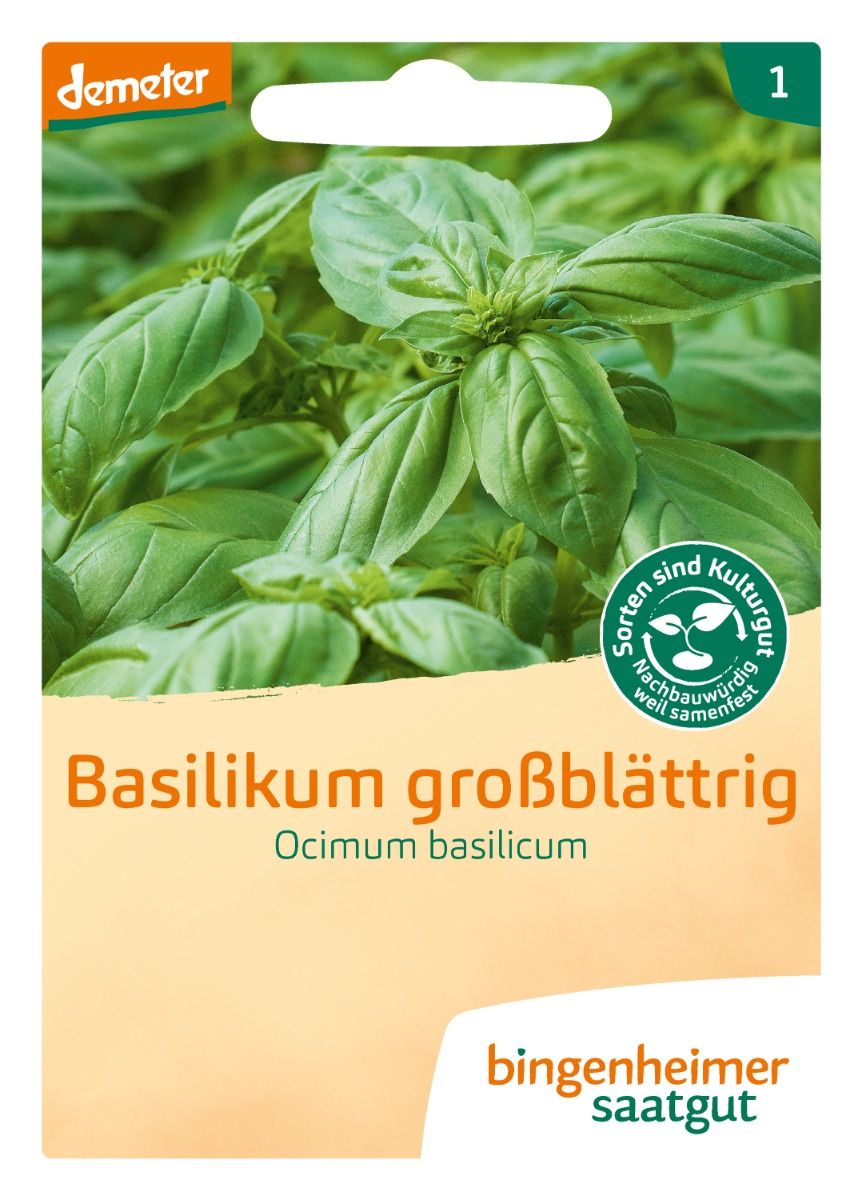 Basil 'Genovese'