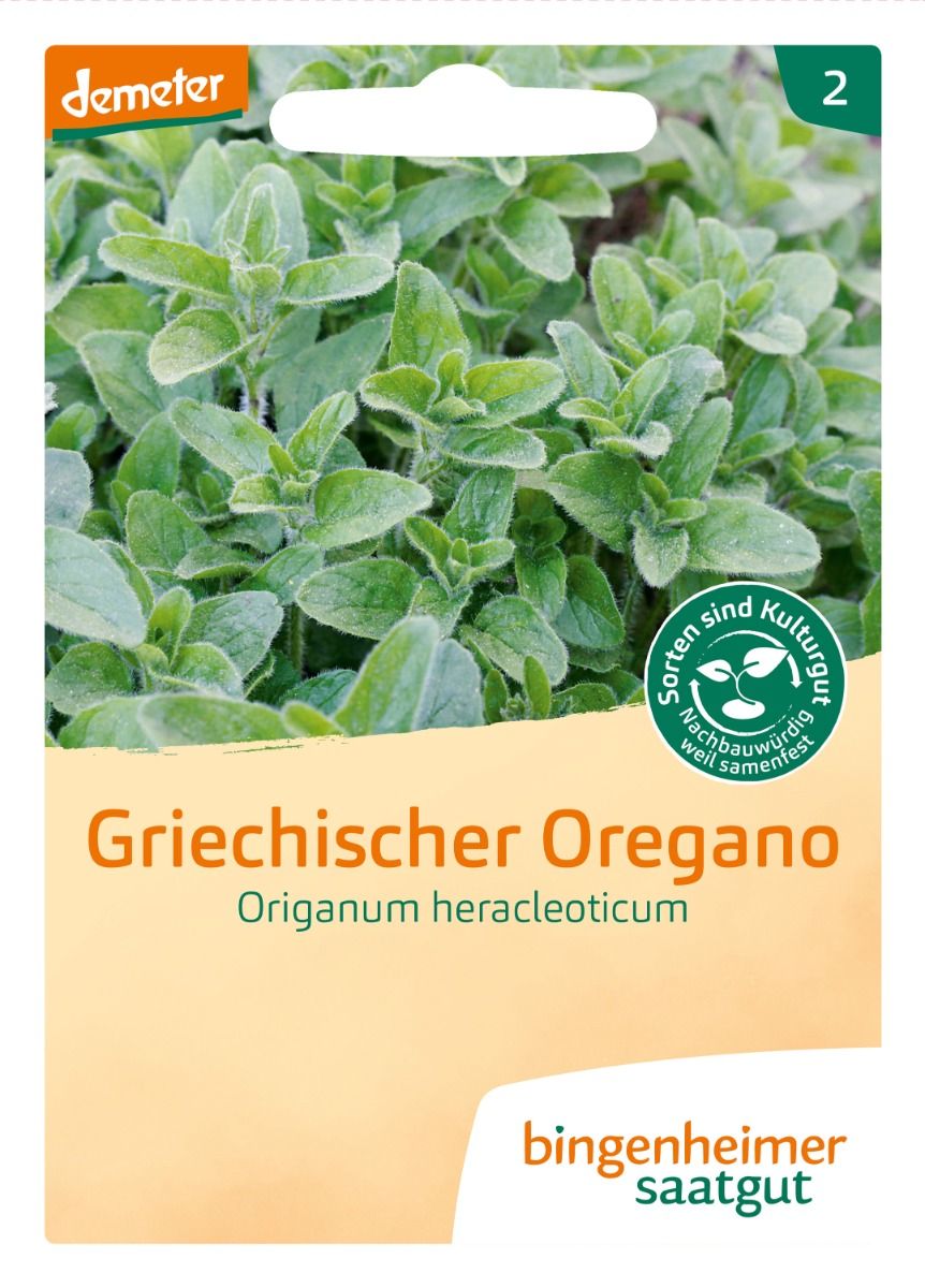 Greek Oregano ‘Hera’