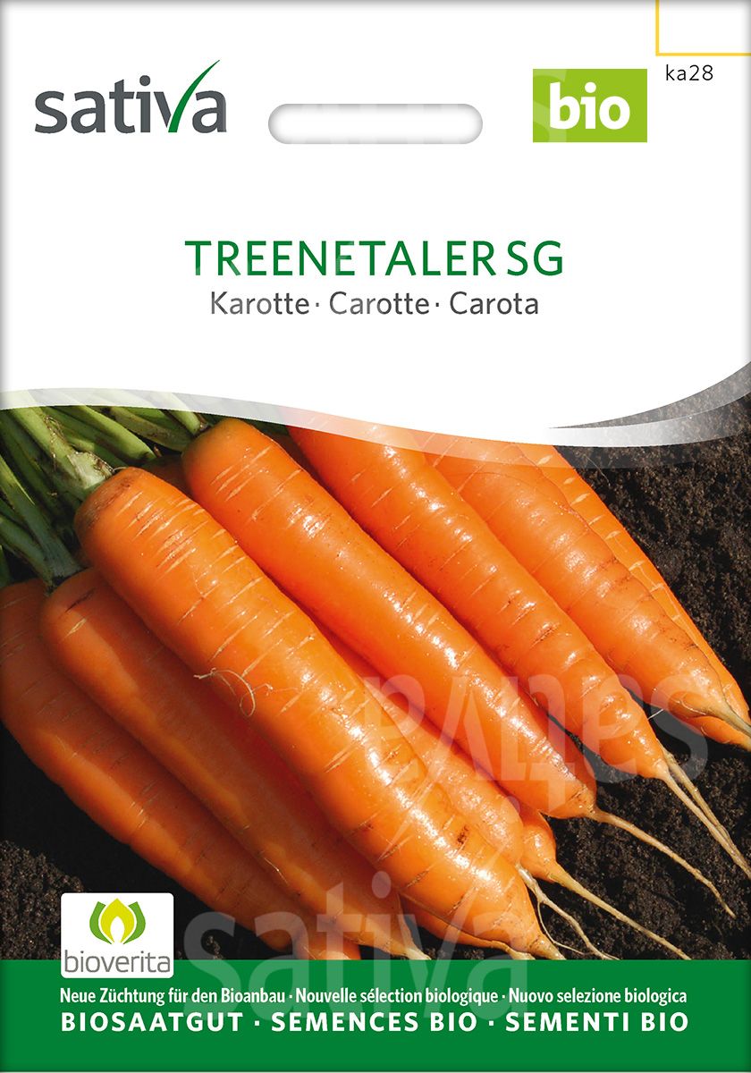 Carrot 'Treenetaler'