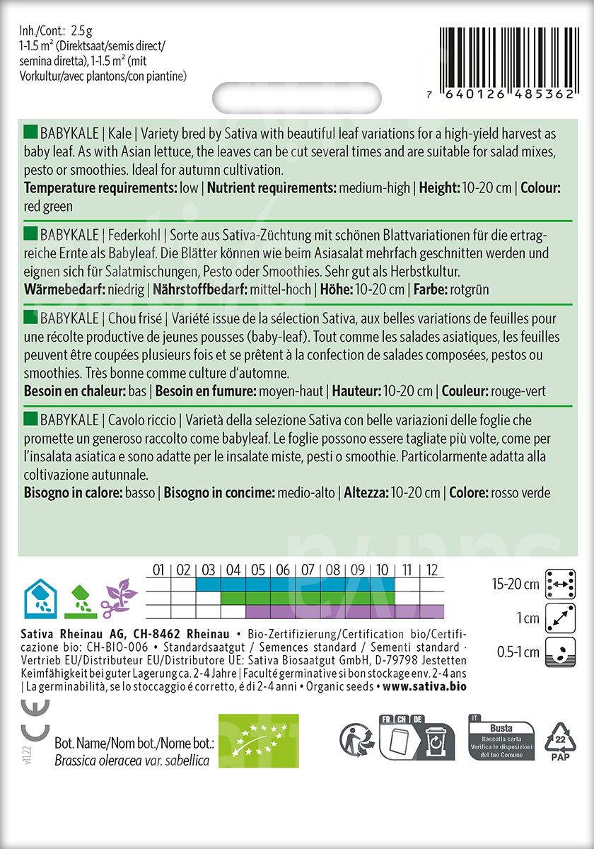 Grünkohl 'Babykale'