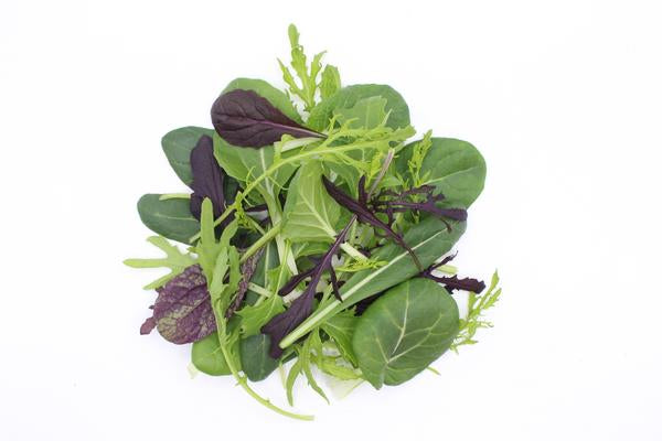 Salat 'Asiatische Mischung‘