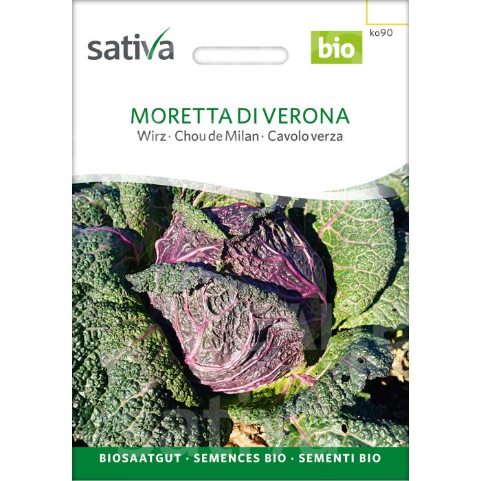 Savoy Cabbage 'Violaceo di Verona'