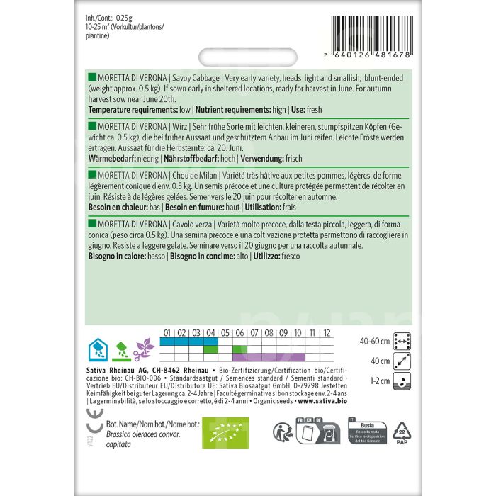 Savoy Cabbage 'Violaceo di Verona'