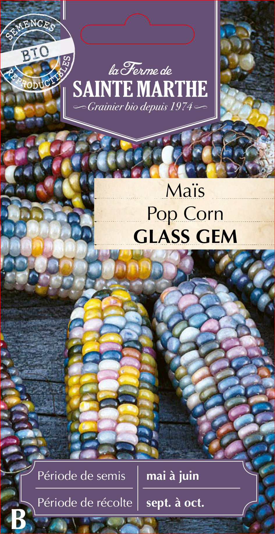 Mais 'Glass Gem'
