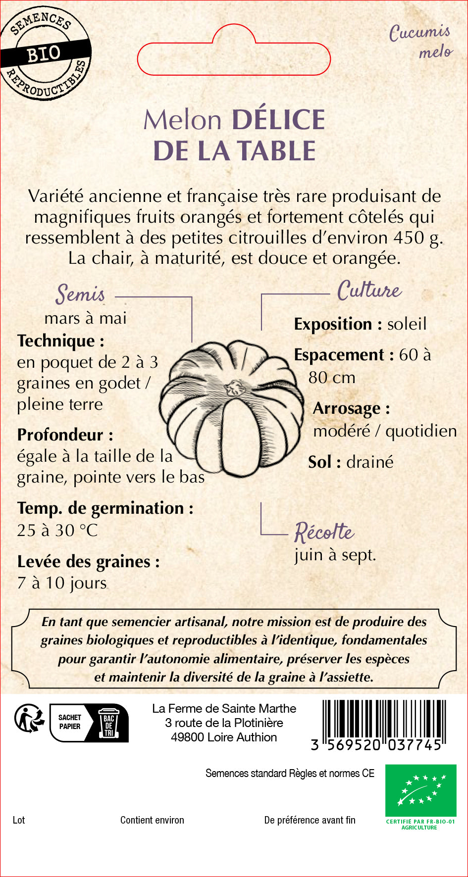 Muskmelon 'Délice de la Table'