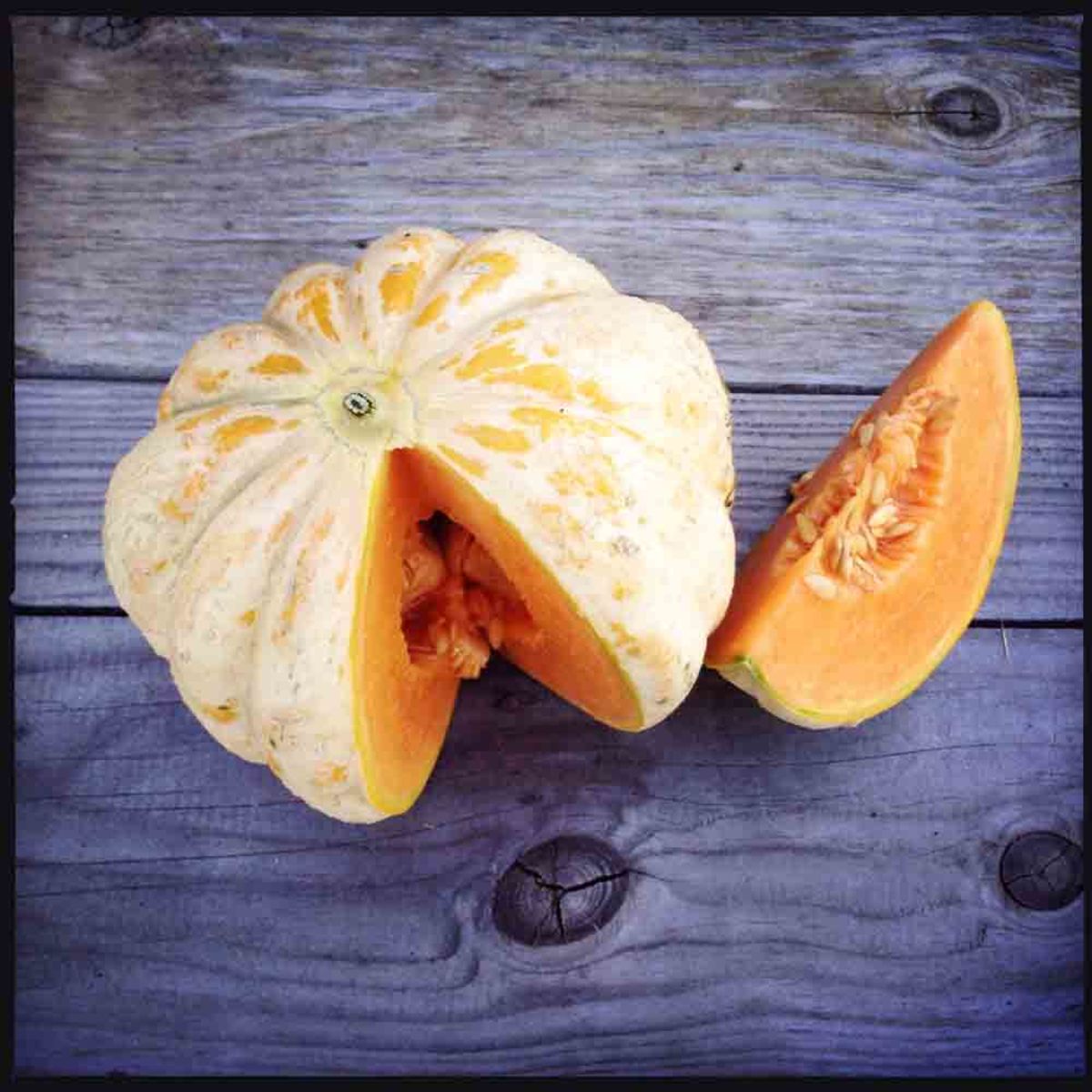 Zuckermelone 'Délice de la Table'