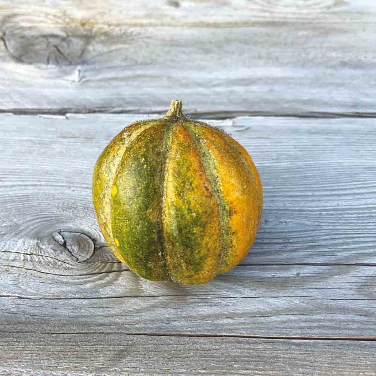 Zuckermelone 'Ogen'