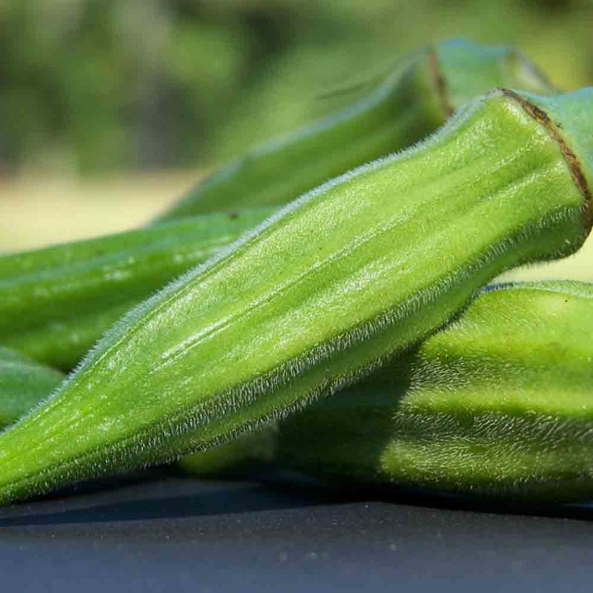 Okra 'Clemson Spineless'