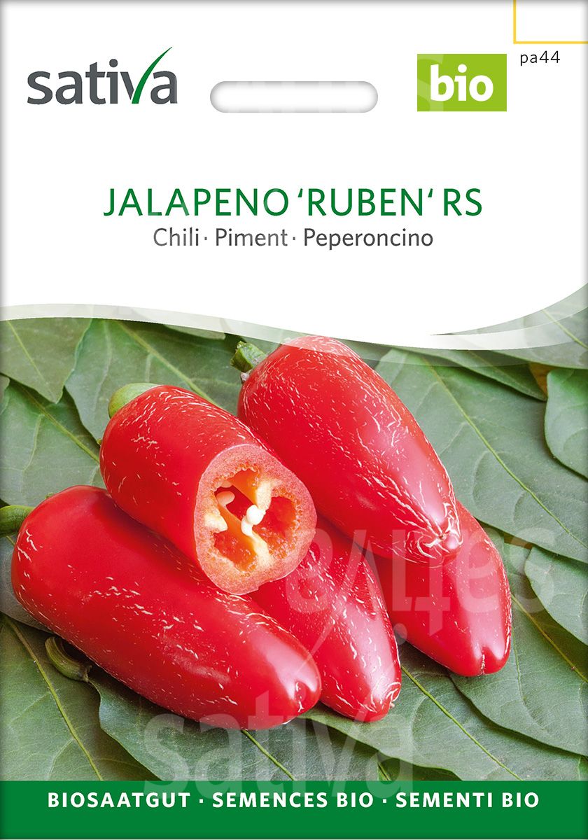 Jalapeño 'Ruben'