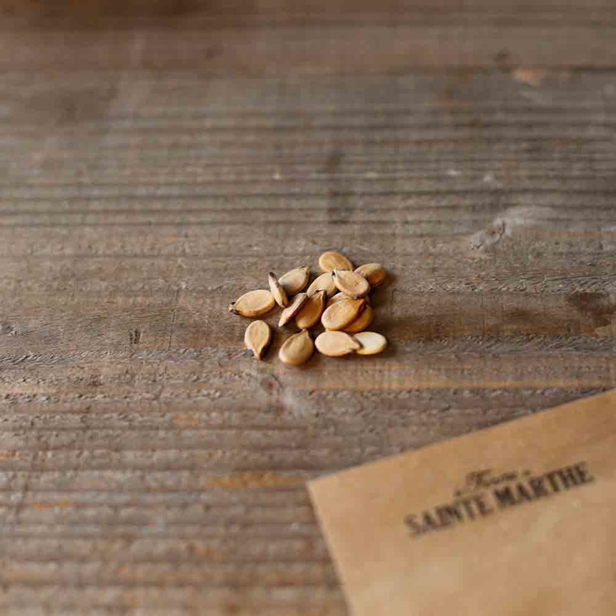 Pastèque 'Orangelo'