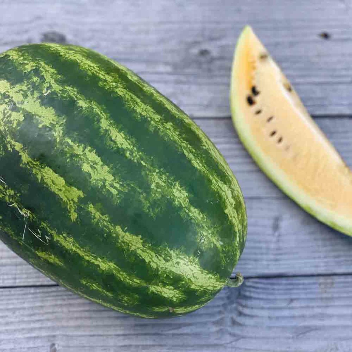 Wassermelone 'Orangelo'