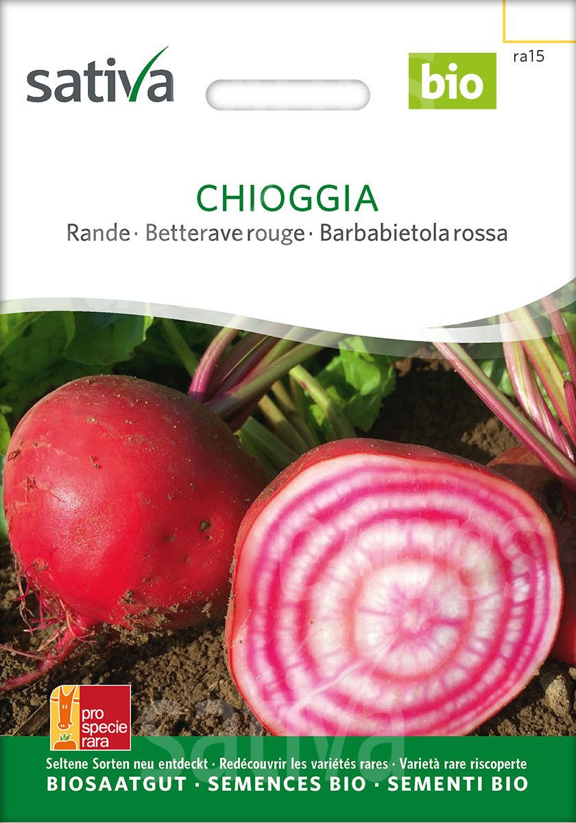 Rote Bete 'Chioggia'