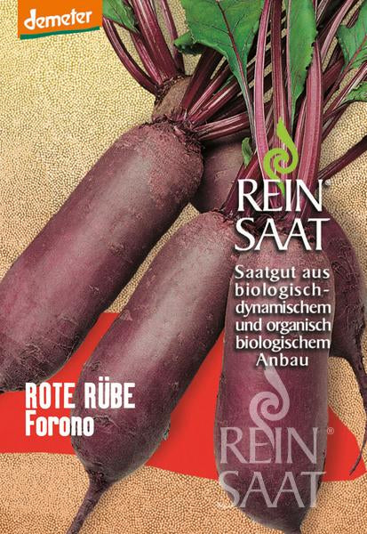 Beetroot 'Forono'