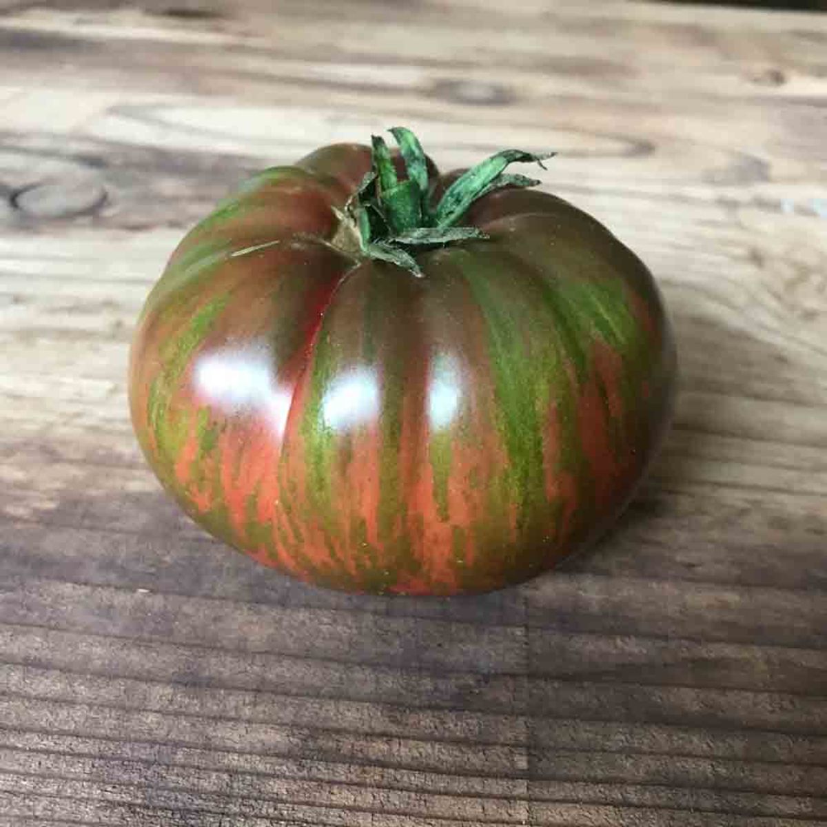 Tomato 'Berkeley Tie-Dye Pink'