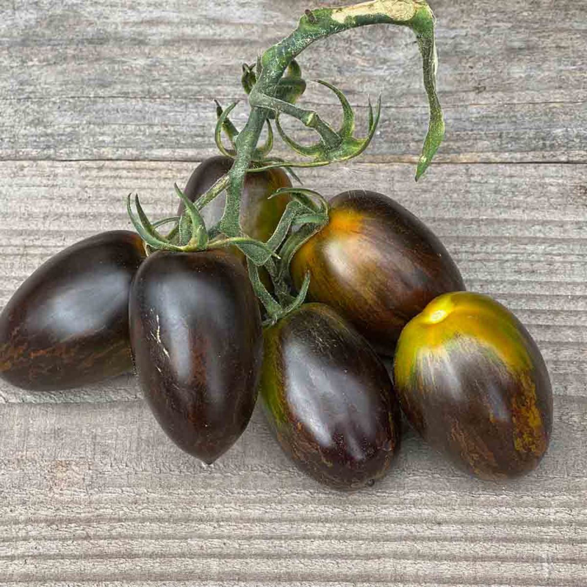 Tomato 'Brad’s Atomic Grape'