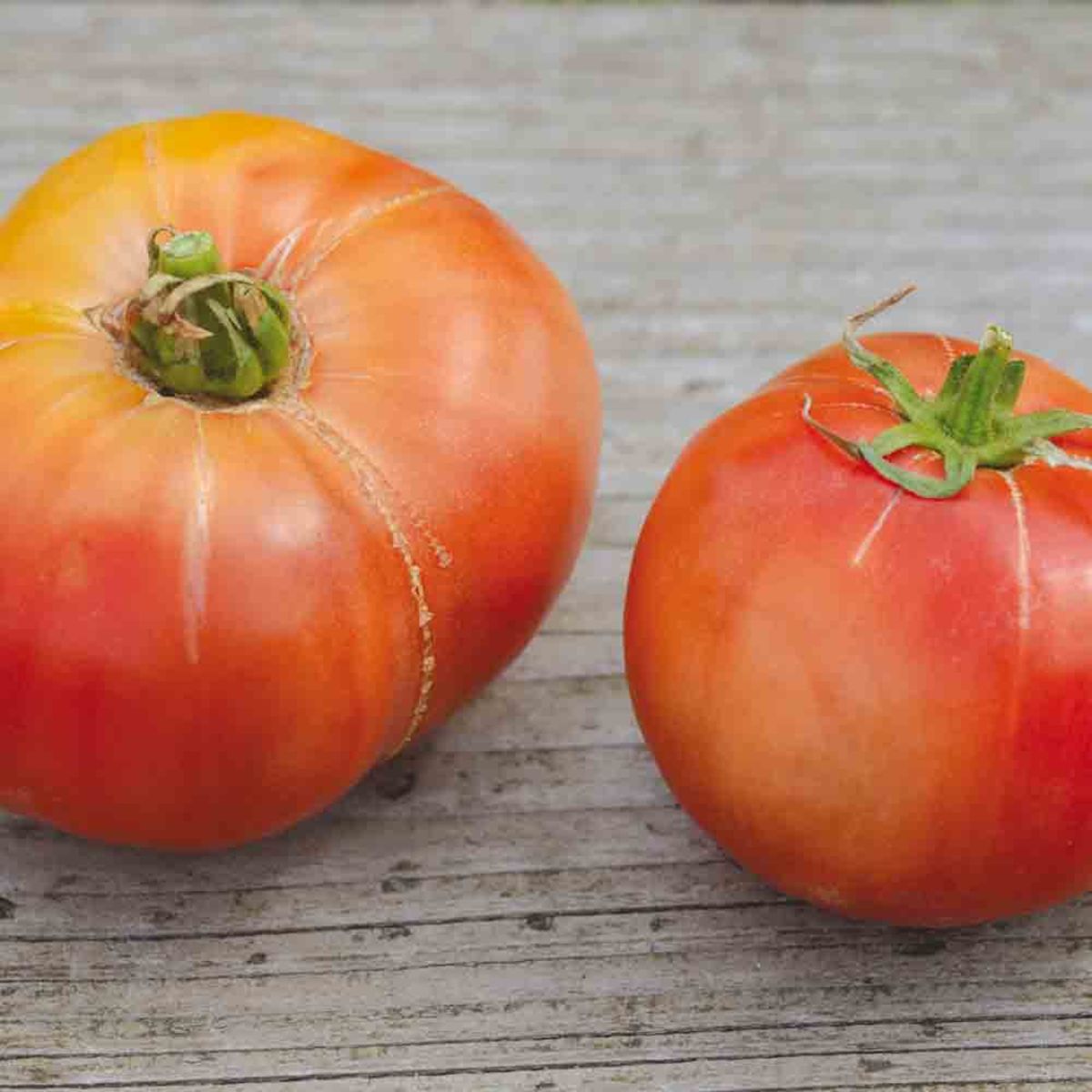 Tomato 'Cherokee Purple'