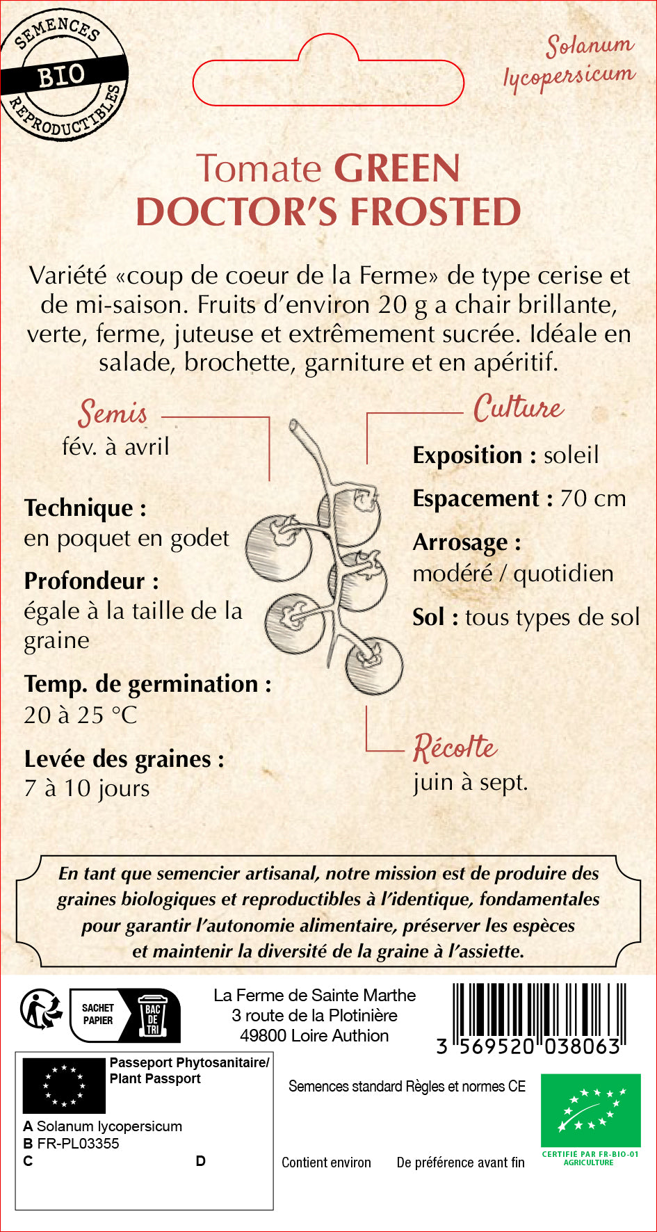 Tomato 'Green Doctor's Frosted'