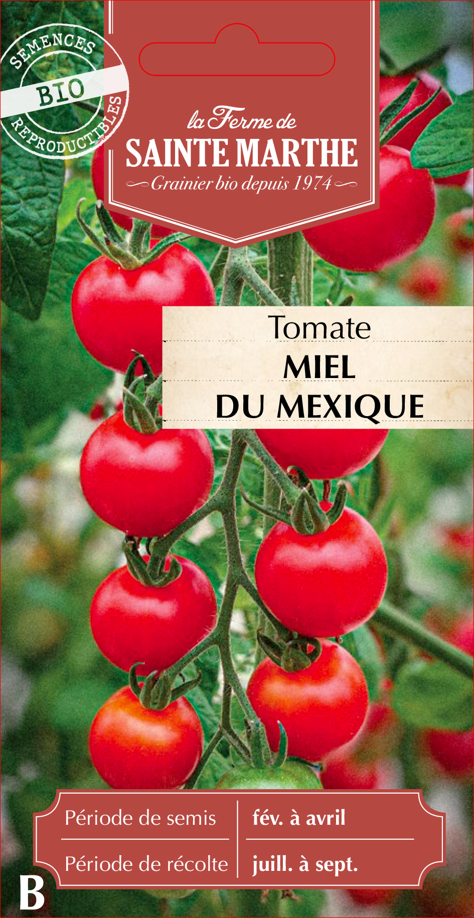 Tomato 'Mexican Honey'