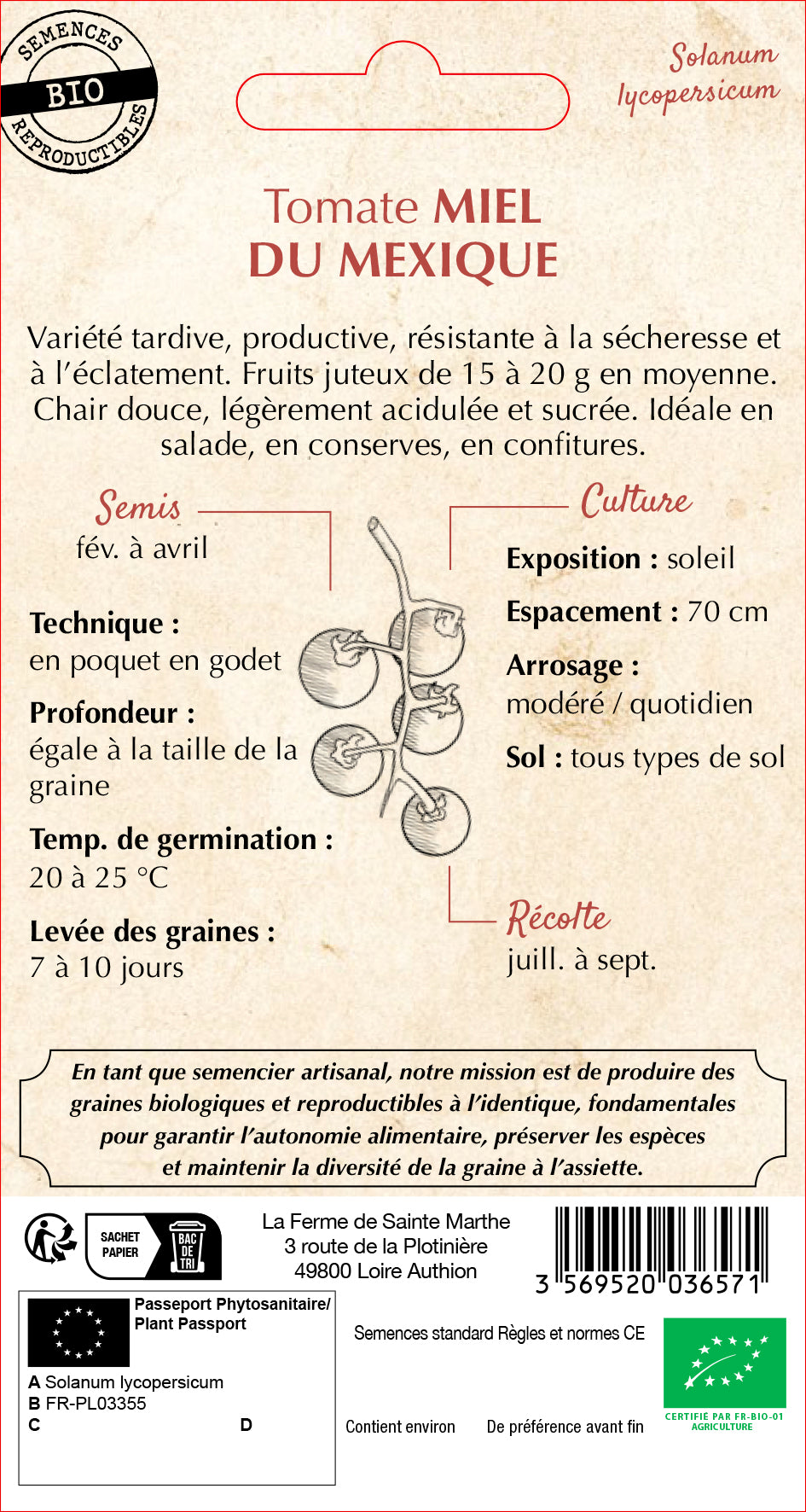 Tomato 'Mexican Honey'