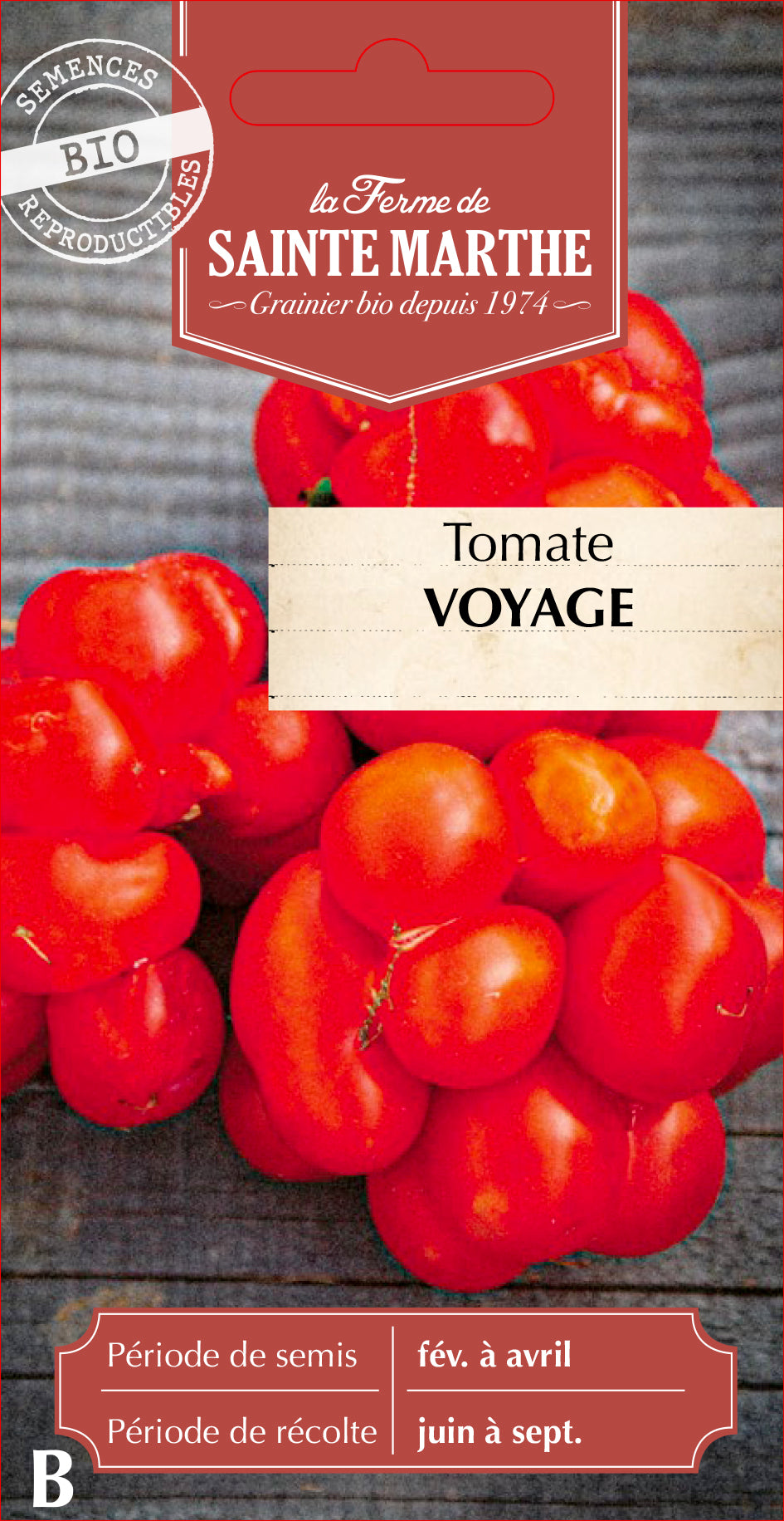 Tomato 'Travelers'