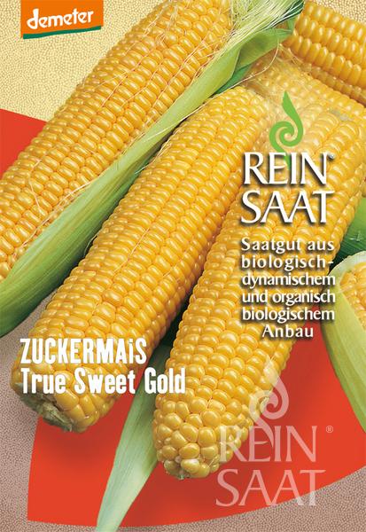 Corn 'True Sweet Gold'