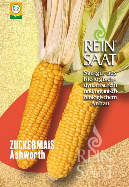 Corn 'Ashworth'