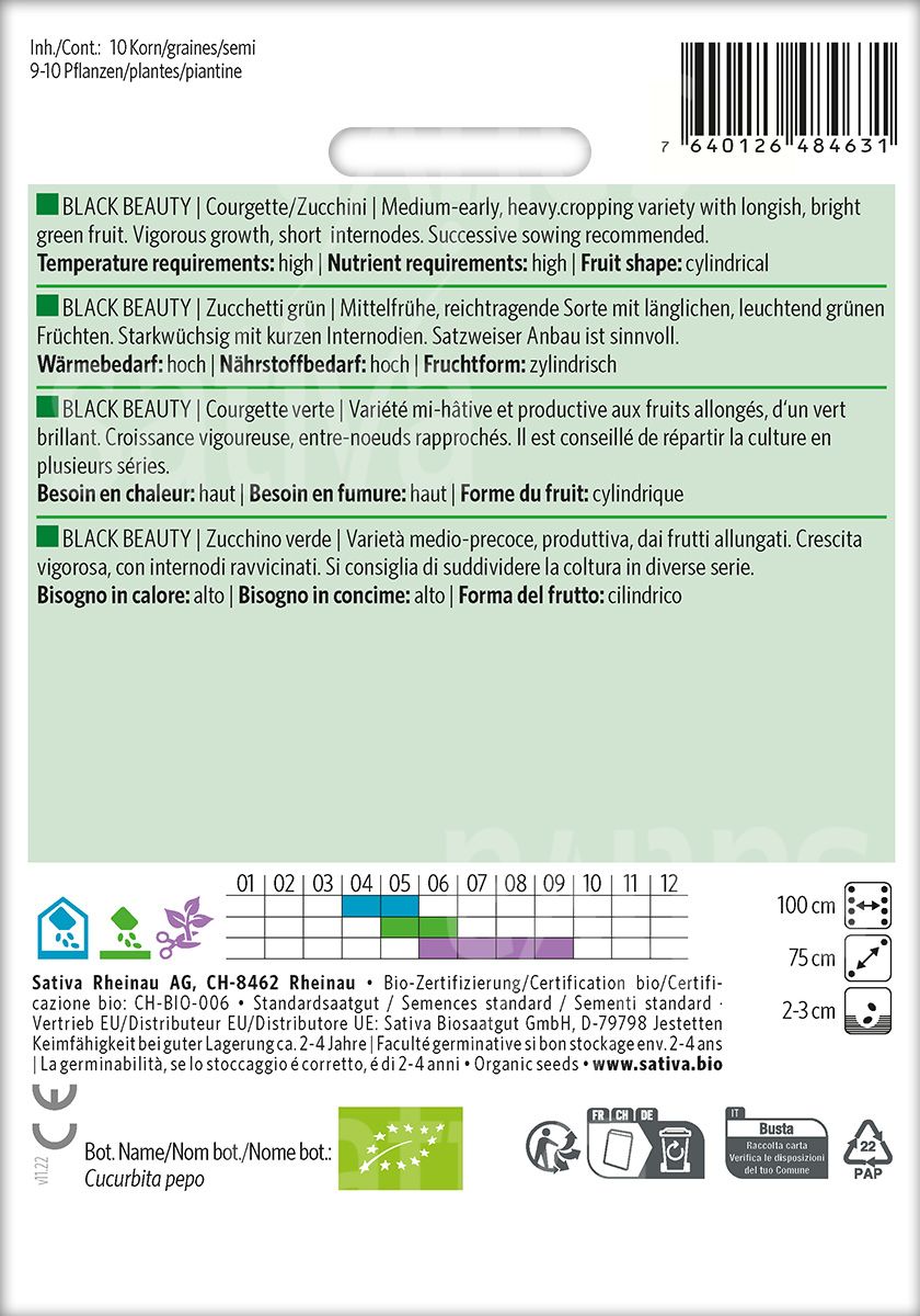 Zucchini 'Black Beauty'