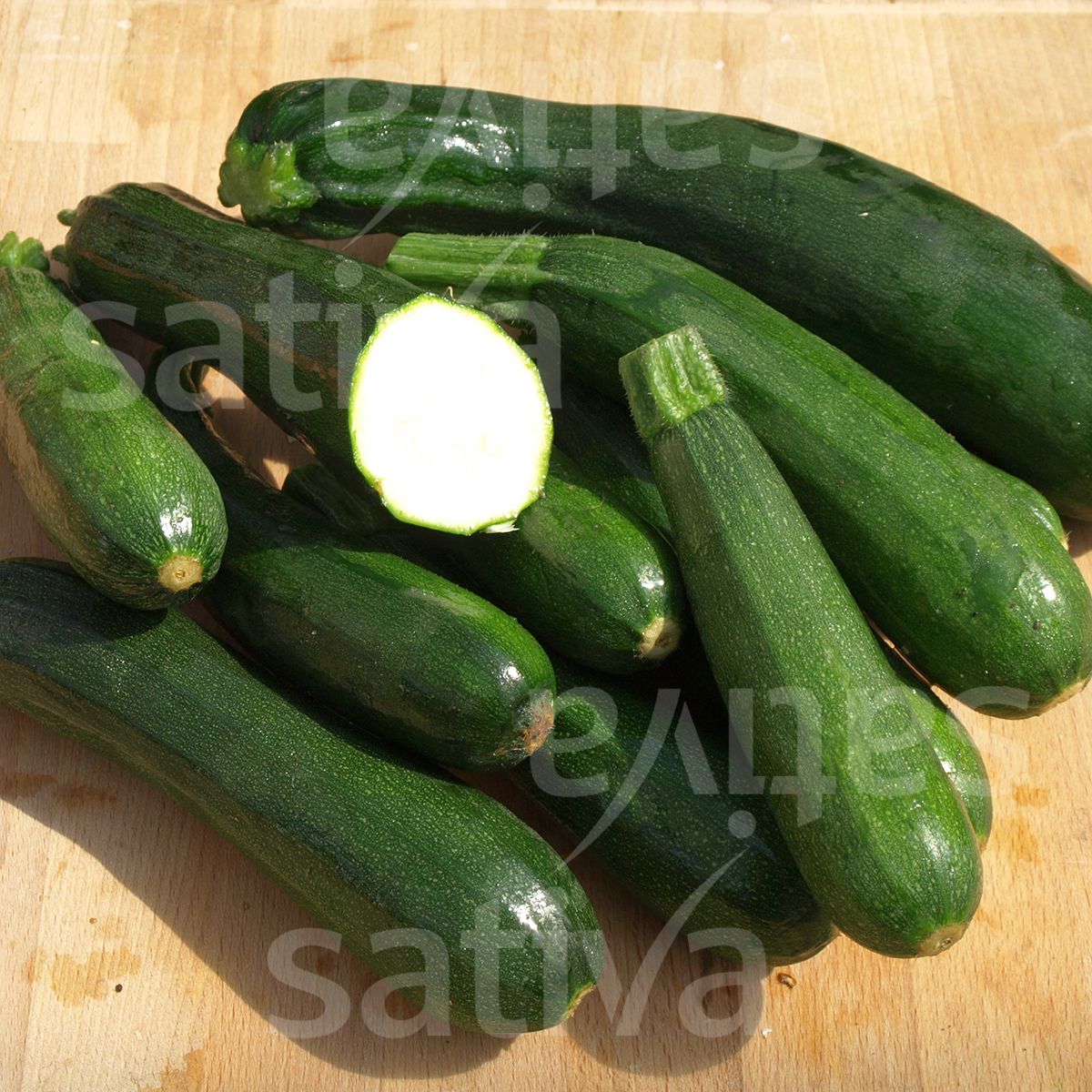 Zucchini 'Black Beauty'