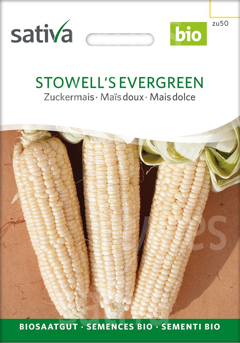 Corn ‘Stowell’s Evergreen’