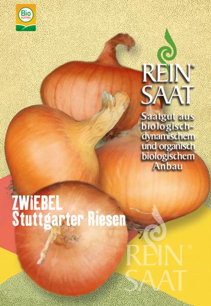 Onion ‘Stuttgarter Riesen’
