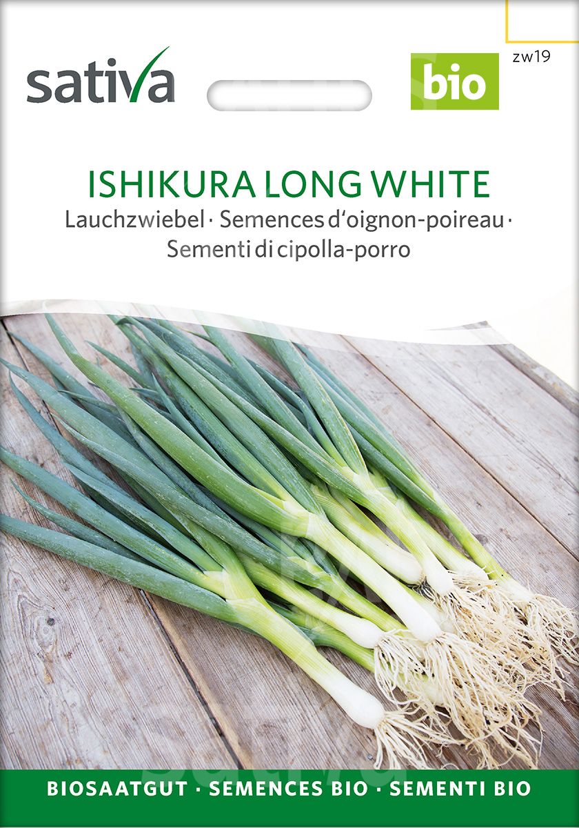 Spring Onion 'Ishikura Long White'