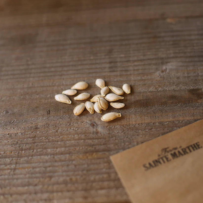 Butternusskürbis 'Heipijiangbinggua'