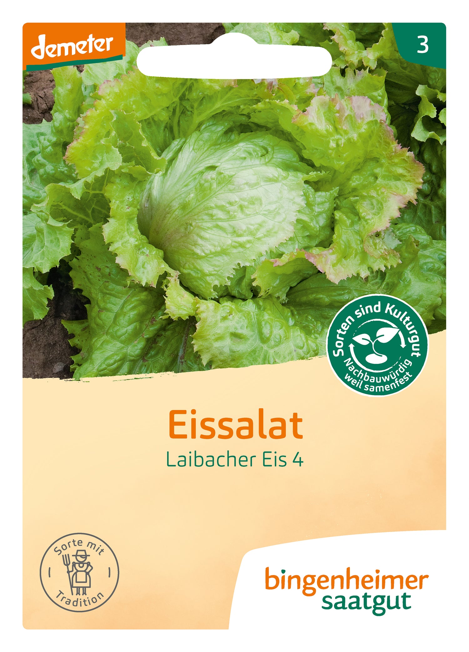 Lettuce 'Laibacher Eis 4'