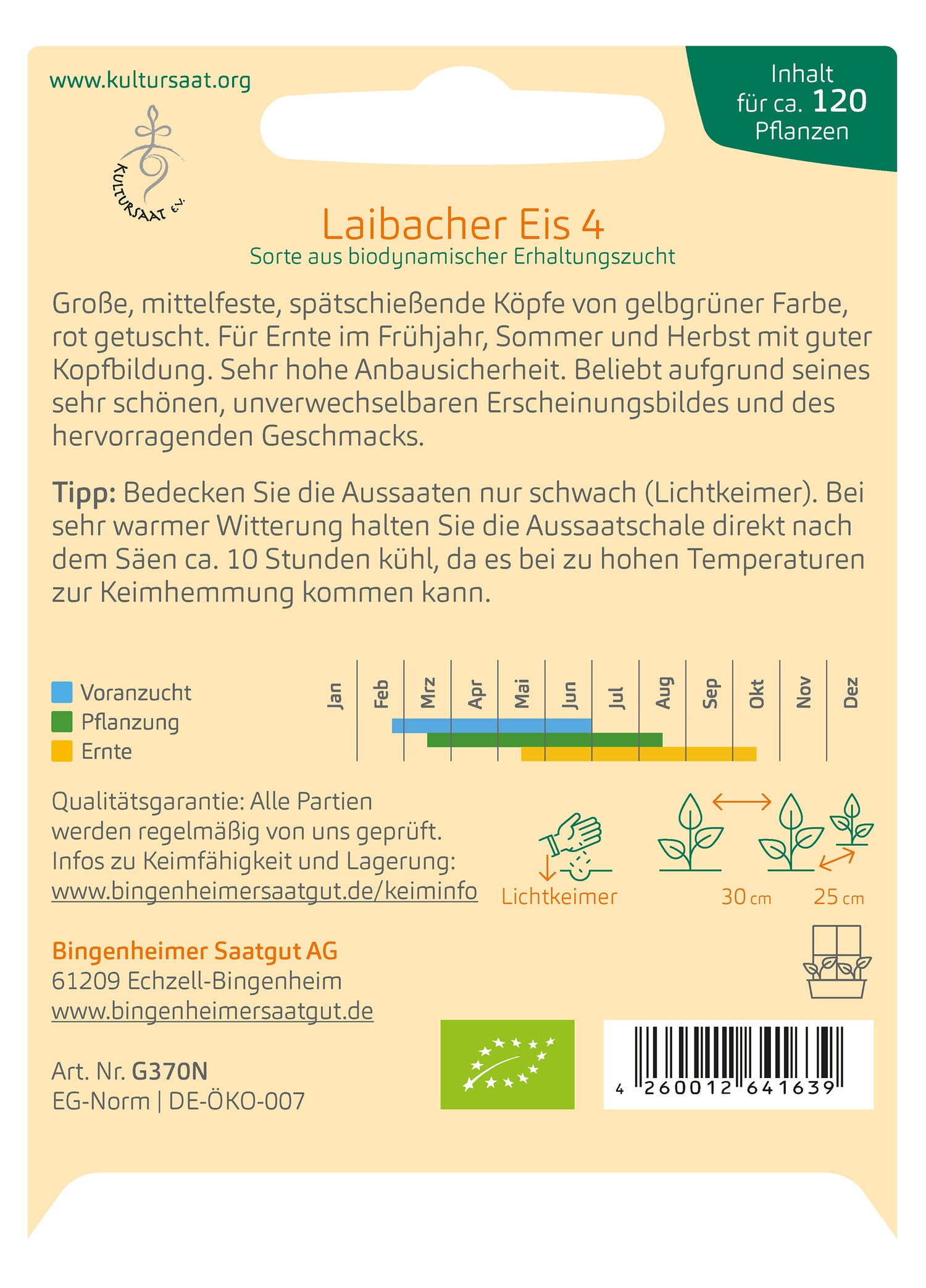 Lettuce 'Laibacher Eis 4'