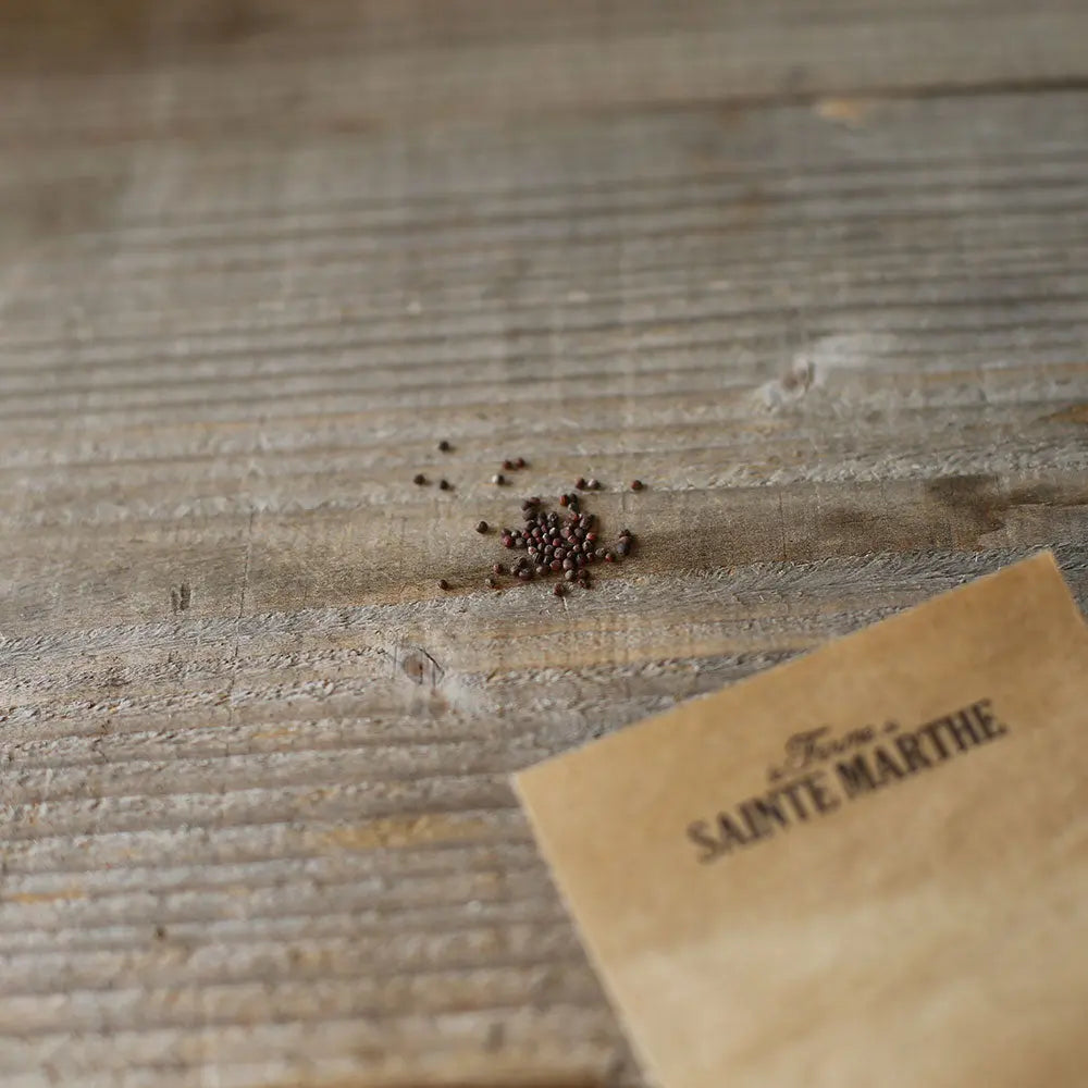 Chou-fleur 'Romanesco Natalino'