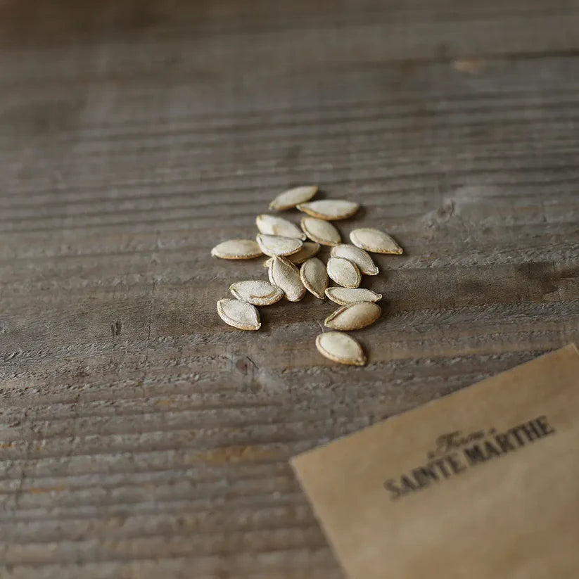 Kürbis 'Tan Cheese'