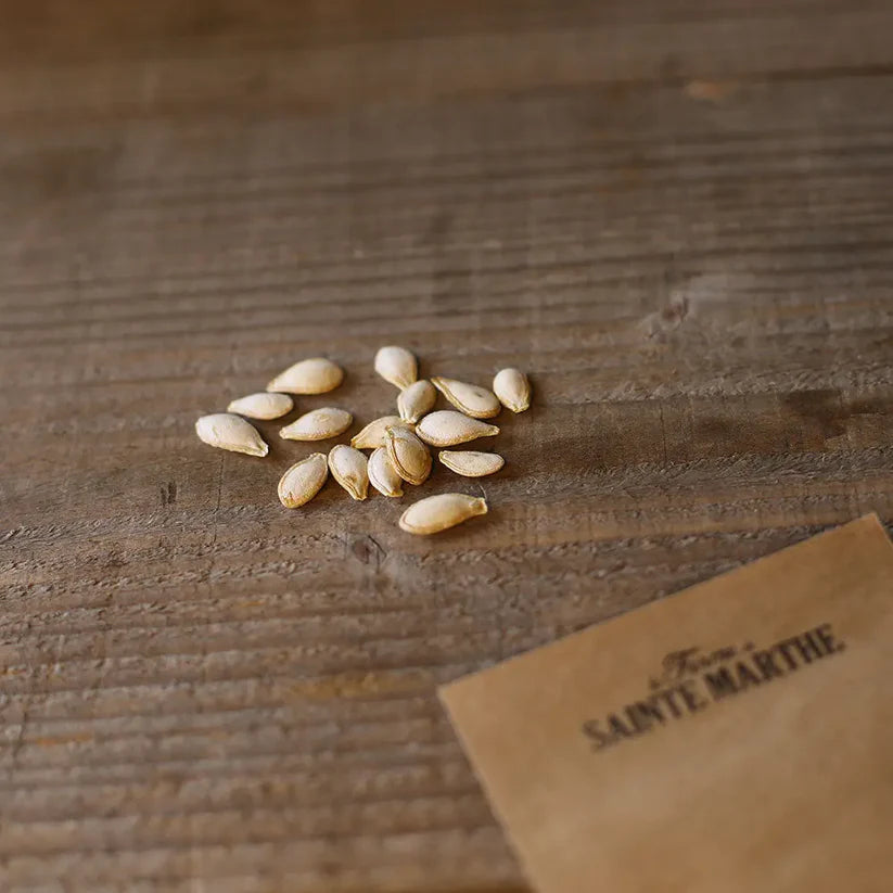 Butternusskürbis 'Yuxijiangbinggua'