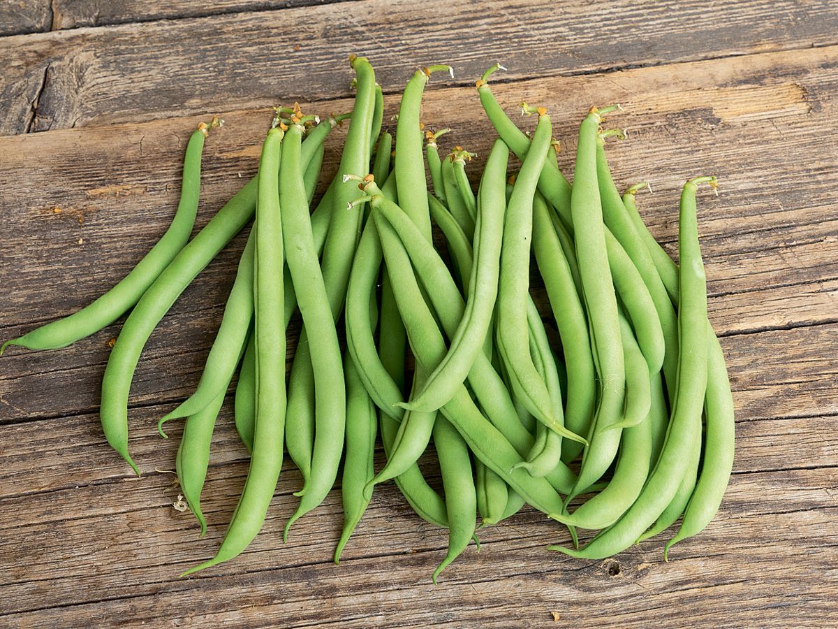 Buschbohne 'Maxi'