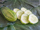 Cucumber 'Vorgebirgstrauben'