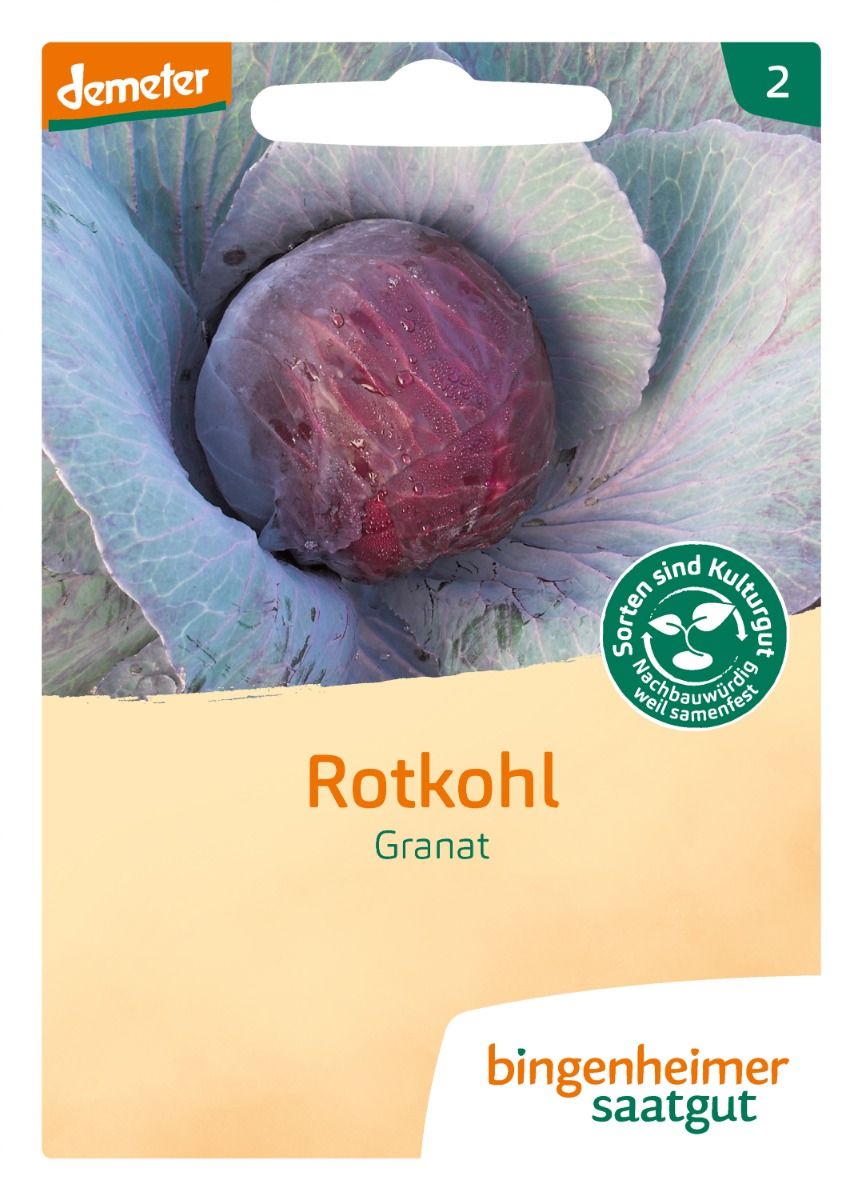 Rotkohl 'Granat'