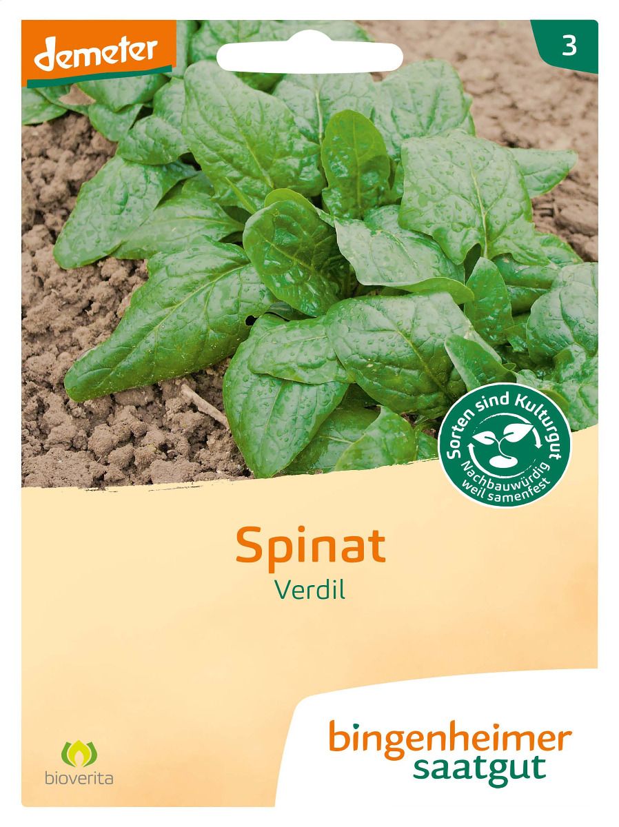 Spinat 'Winterriesen' / 'Verdil'