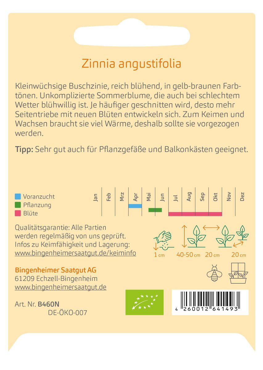 Zinnia angustifolia 'Mixte mexicain'